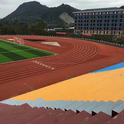 贵州农业职业学院 塑胶跑道、球场、草坪